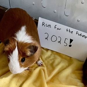 Fundraising Page: Henrietta and Hudson Schoeffler